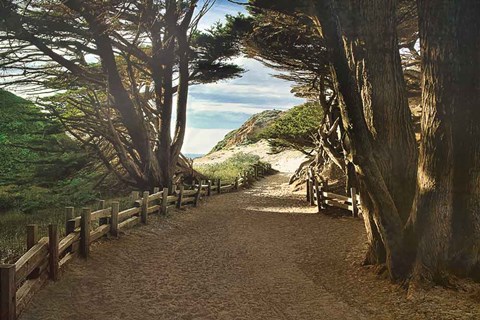 Framed Big Sur Print