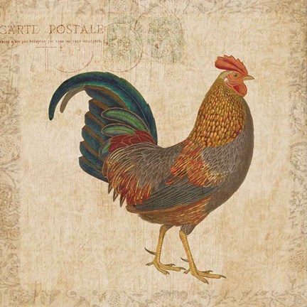 Framed Early Riser I Print