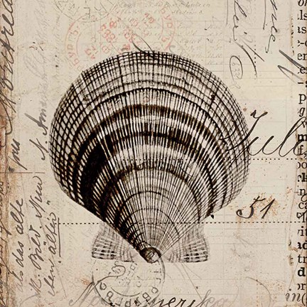 Framed Ocean Collection IV Print