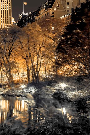 Framed Central Park Glow III Print