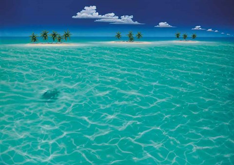 Framed Turtle Crossing Print