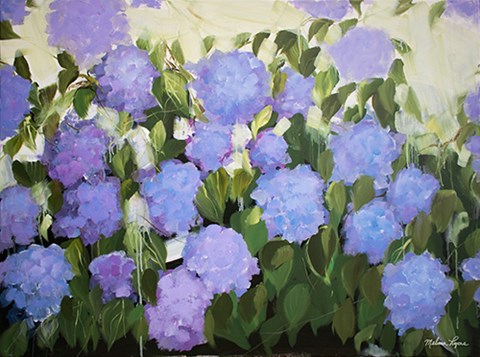 Framed Purple and Blue Hydrangeas Print