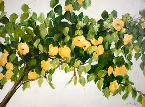 Framed Lemon Tree Print