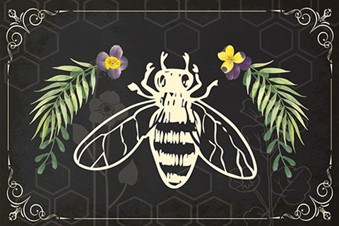 Framed Botany Art IV Print