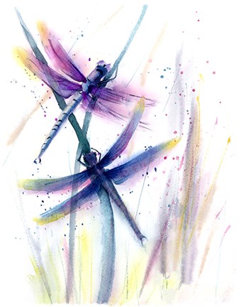 Framed Dragonflies II Print