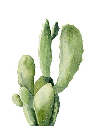 Framed Cactus II Print