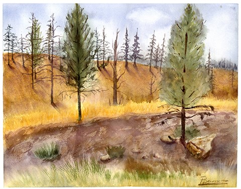 Framed Landscape Print