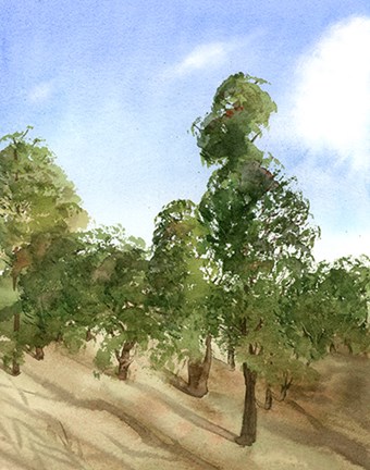 Framed Apple Trees Print