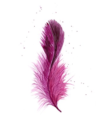 Framed Pink Feather Print