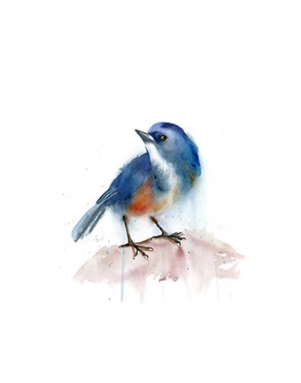 Framed Blue Bird Print