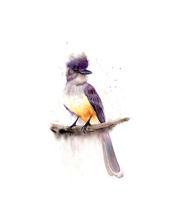 Framed Gray Bird Print