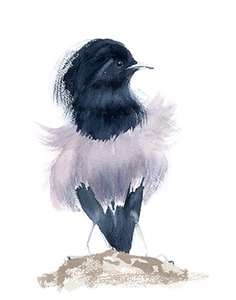 Framed Fluffer Print