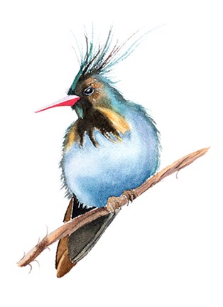 Framed Perched Bird Print