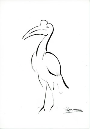 Framed Bird Outline Print