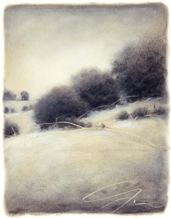 Framed Hill Side III Print