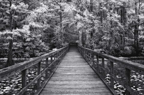 Framed Walk Into Tranquility Print