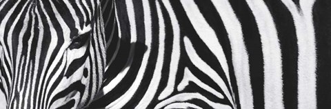 Framed Always Here Print