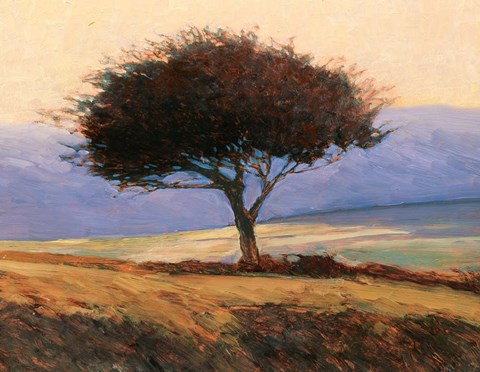 Framed Cloondaff Print