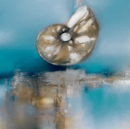 Framed Blue Shores Nautilus Print