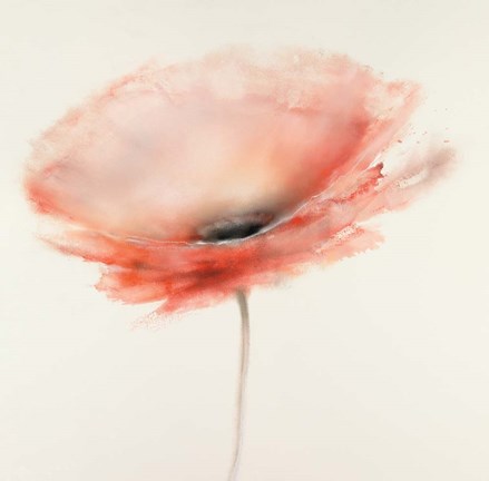 Framed Pink Chiffon I Print