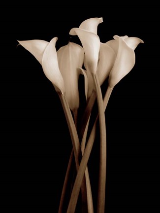 Framed Gathering Print