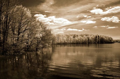 Framed Nature&#39;s Glory Print