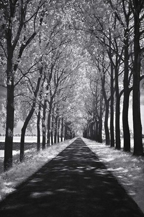 Framed Follow Me Print