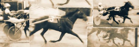 Framed Sulky Race Print