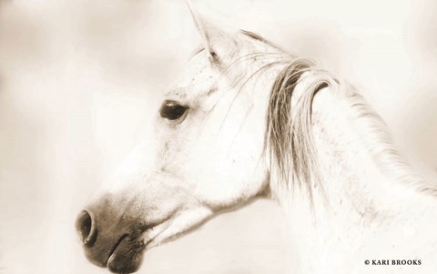 Framed Dash IV Print