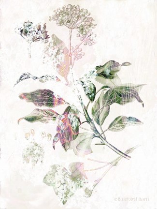 Framed Boho Verbena Botanical Print