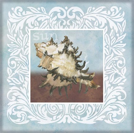 Framed Sandy Shells Blue Spikey Print