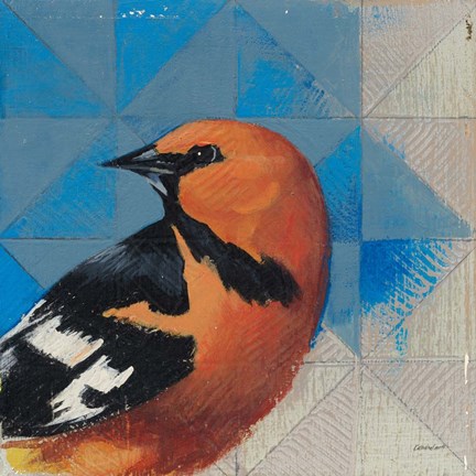 Framed Oriole Print