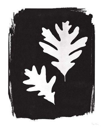 Framed Nature by the Lake Leaves IV Black Print