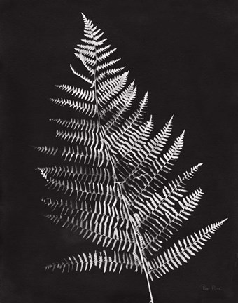 Framed Nature by the Lake Ferns VI Black Crop Print