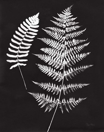 Framed Nature by the Lake Ferns V Black Crop Print