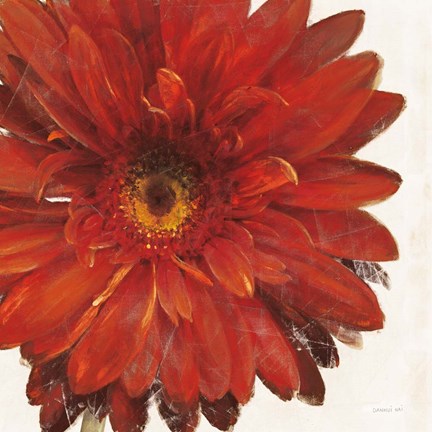 Framed Vivid Daisy Dark Red Crop Print