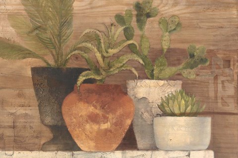 Framed Desert Still Life Light Crop Print