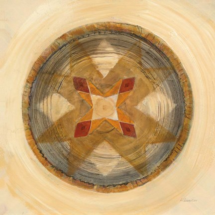 Framed Woven Beauty III Print