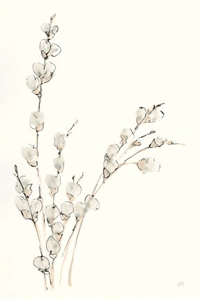 Framed Pussy Willows V Print