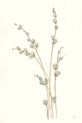 Framed Pussy Willows I Print