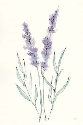 Framed Lavender III Print