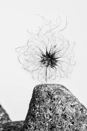 Framed Electrifying Print