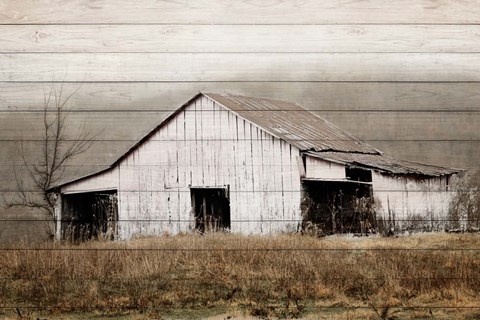 Framed White Barn on Wood Print
