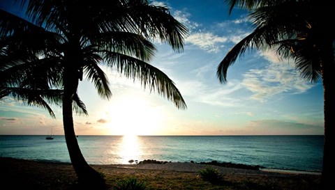 Framed Sun Downer Print