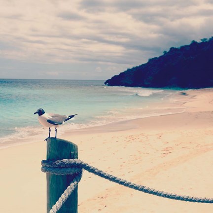 Framed Island Vacation III Print