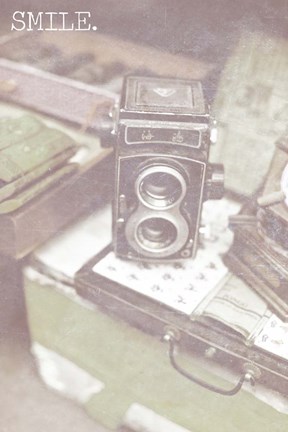 Framed Capture The Moment II Print