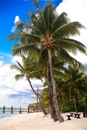 Framed This Is Paradise Print