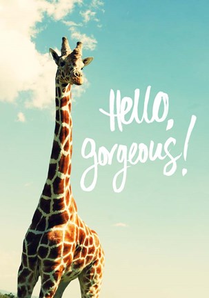 Framed Hello Gorgeous Giraffe Print