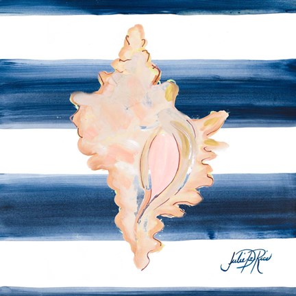 Framed Nautical Shell II Print