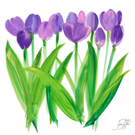 Framed Tulips II Print
